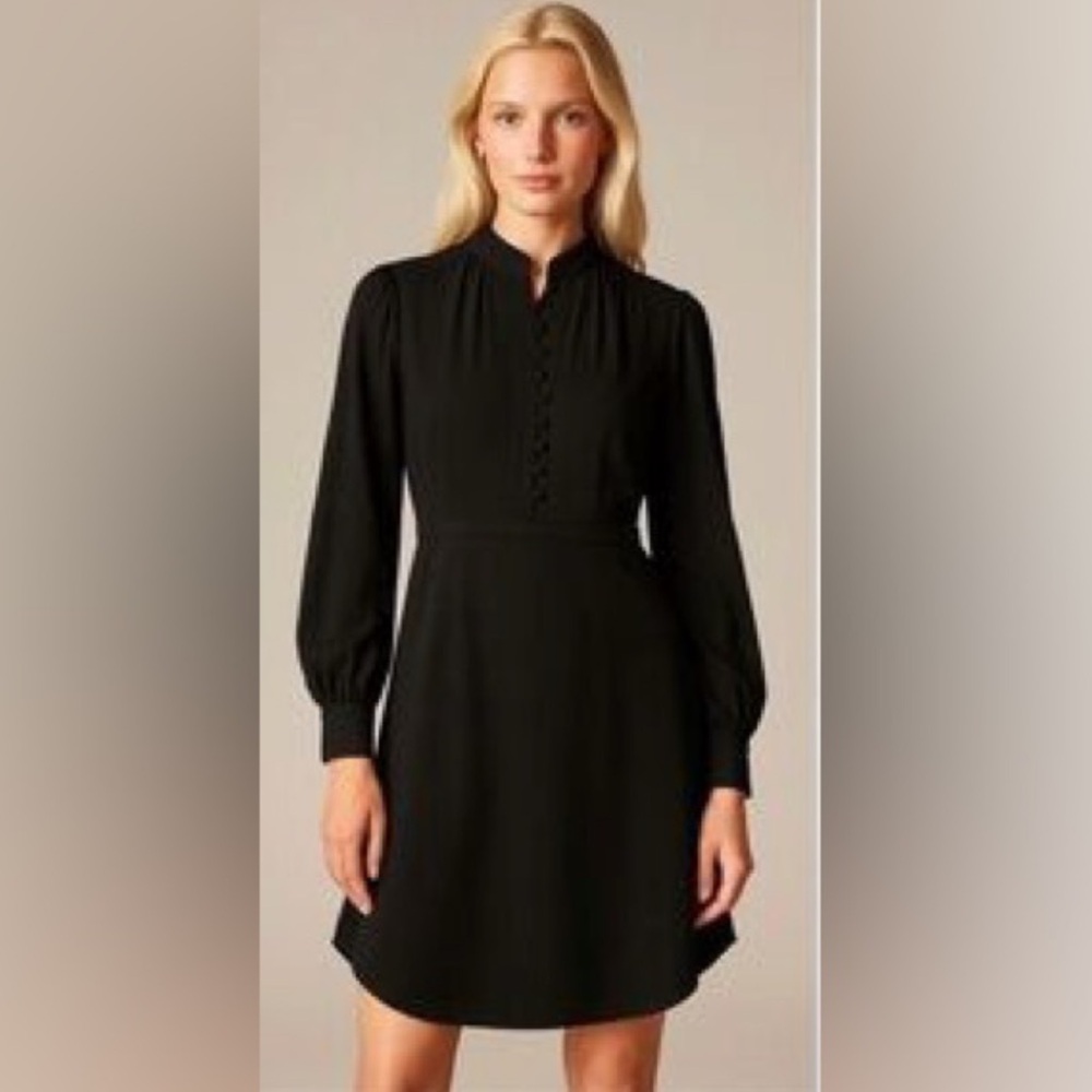 Ayr silk  Black mini Sleeve Dress
